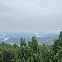 評論圖片 2