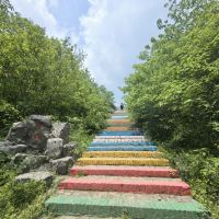 評論圖片 8