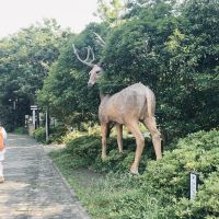 評論圖片 7