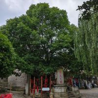 評論圖片 6
