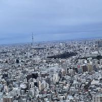 評論圖片 1