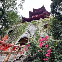 評論圖片 5