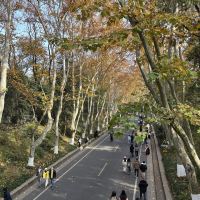 評論圖片 3