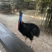 評論圖片 1