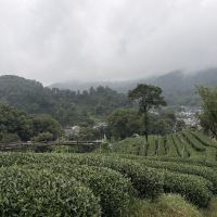評論圖片 2
