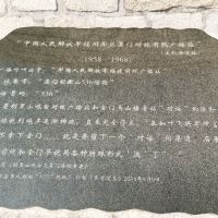 評論圖片 8