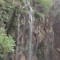 評論圖片 3