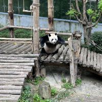 評論圖片 1
