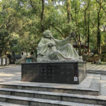評論圖片 5