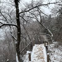 評論圖片 6
