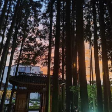 評論圖片 2