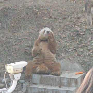 評論圖片 9
