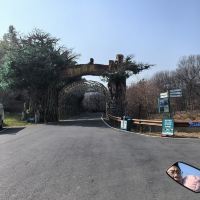 評論圖片 1