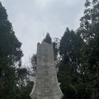 評論圖片 3