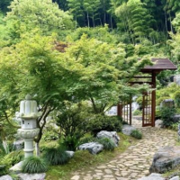 評論圖片 5