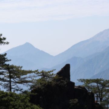 評論圖片 6