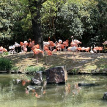 評論圖片 1