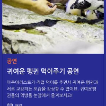 評論圖片 5