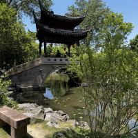 評論圖片 6