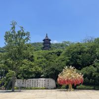 評論圖片 5