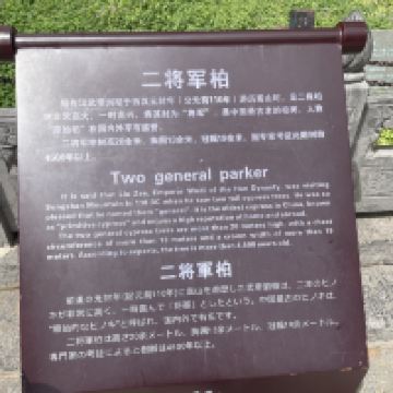評論圖片 4