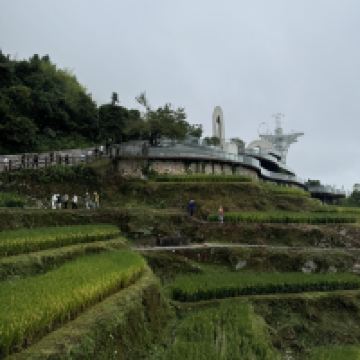 評論圖片 8
