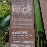 評論圖片 2