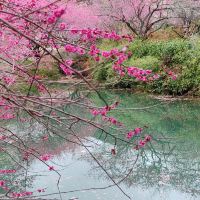 評論圖片 9