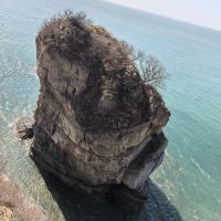 評論圖片 5