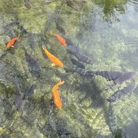 評論圖片 5