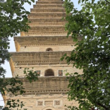 評論圖片 7