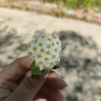 評論圖片 2