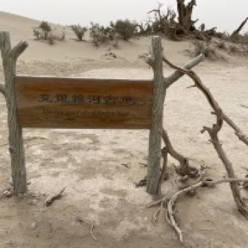 評論圖片 3