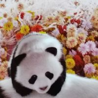 評論圖片 4