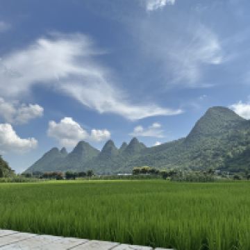 評論圖片 1