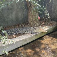 評論圖片 4