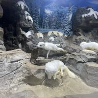 評論圖片 9