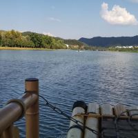 評論圖片 1