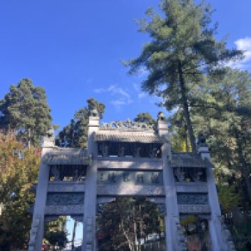 評論圖片 2