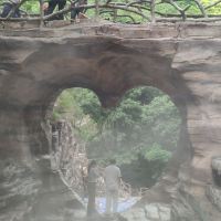 評論圖片 5