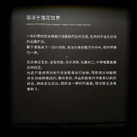 評論圖片 9