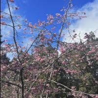 評論圖片 4