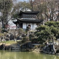 評論圖片 4