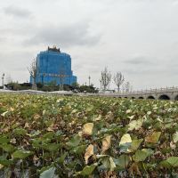 評論圖片 1