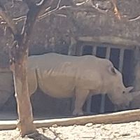 評論圖片 6