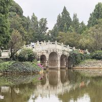 評論圖片 5