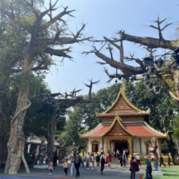 評論圖片 6
