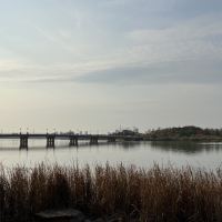 評論圖片 9