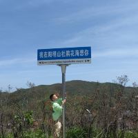 評論圖片 2