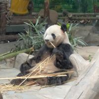 評論圖片 4